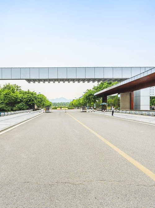 Chongqing University